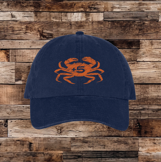 +5 Dad hat