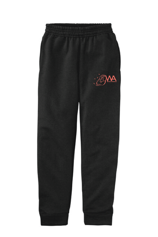 WIND RIDERS YOUH JOGGERS